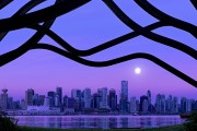 世界举重青年联赛优秀裁判名单公示并外派交流，世界举重选手