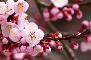世界保龄球社区开放日：互动体验吸引家庭参与，保龄球门票