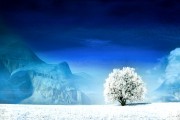 2026年亚洲击剑锦标赛 花剑重剑佩剑三线中国队均有斩获，亚洲击剑联合会